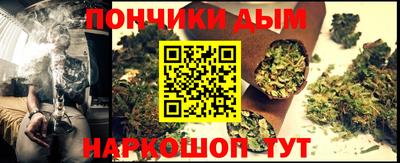 СК Дубна