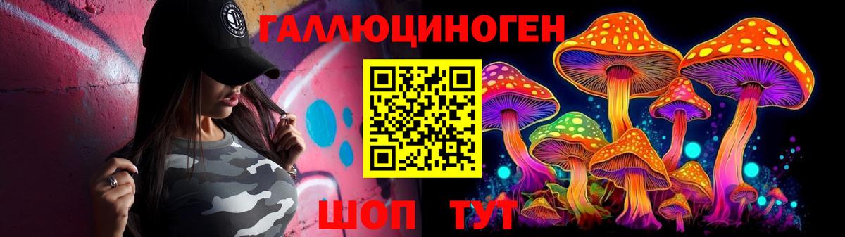 Псилоцибиновые грибы Psilocybe Видное