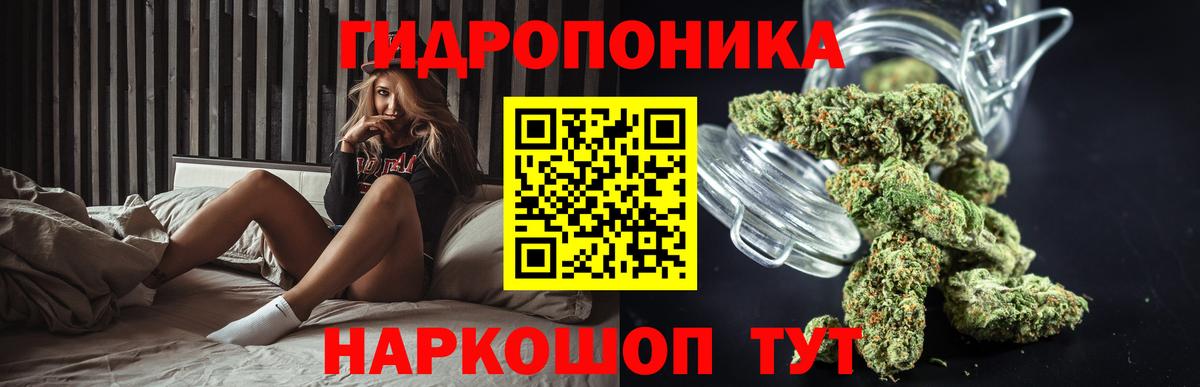 Бошки Шишки Ganja Видное